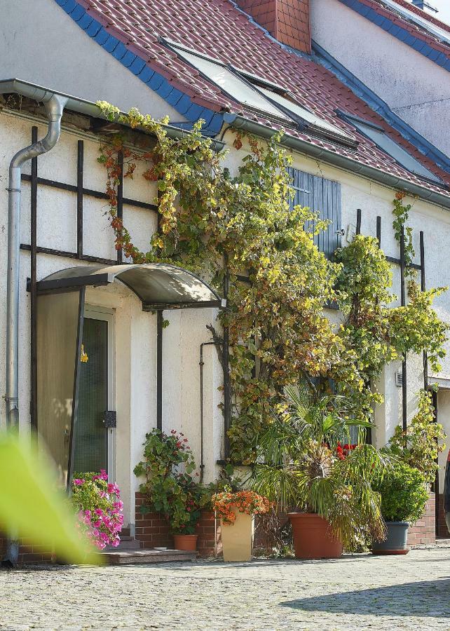 Reiterhof Wollnau Apartment Bagian luar foto